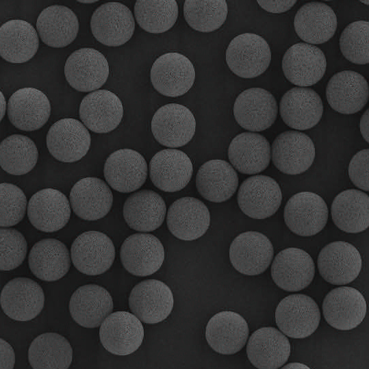 Hydrophobic Chromatography Media