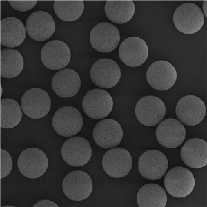 Solid Phase Extraction (SPE) Column