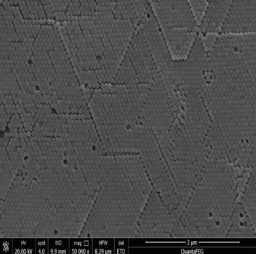 Silica Magnetic Beads