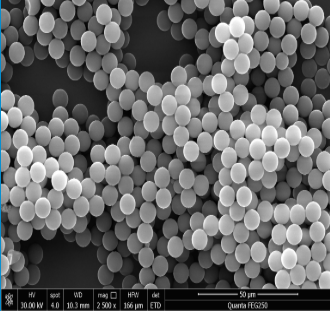 SH Thiol Magnetic Beads